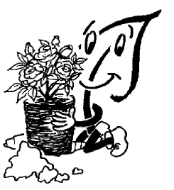 Rosen richtig pflanzen