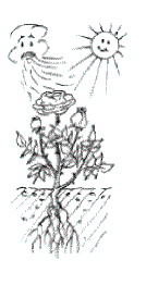 Richtige Standortauswahl