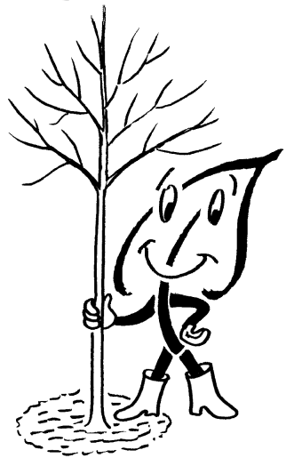 Herbst - die beste Pflanzzeit für Gehölze