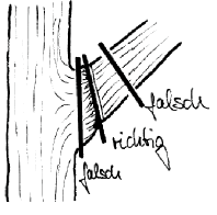 Schnitt von Ziergehölzen