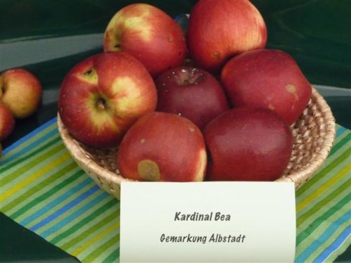 Malus 'Landsberger Renette'